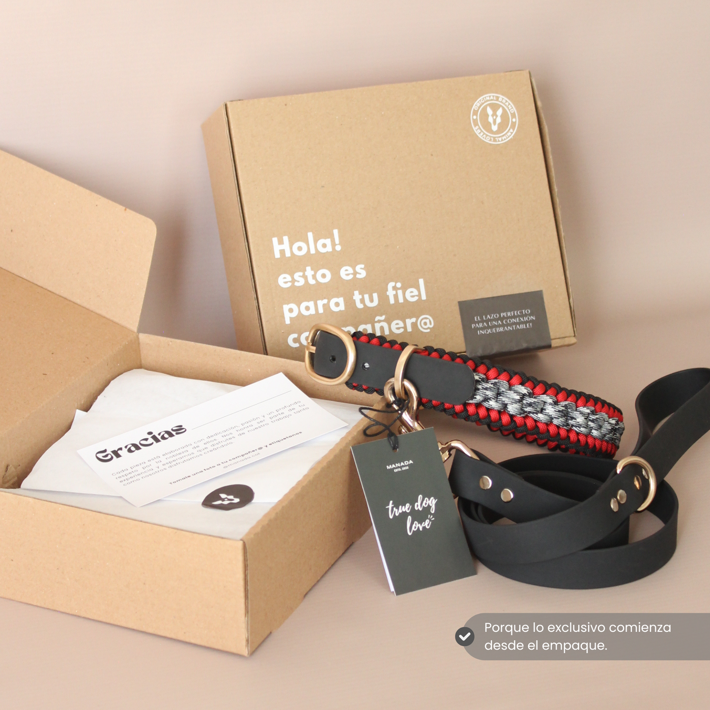 Collar Artesanal para Perros | Furia
