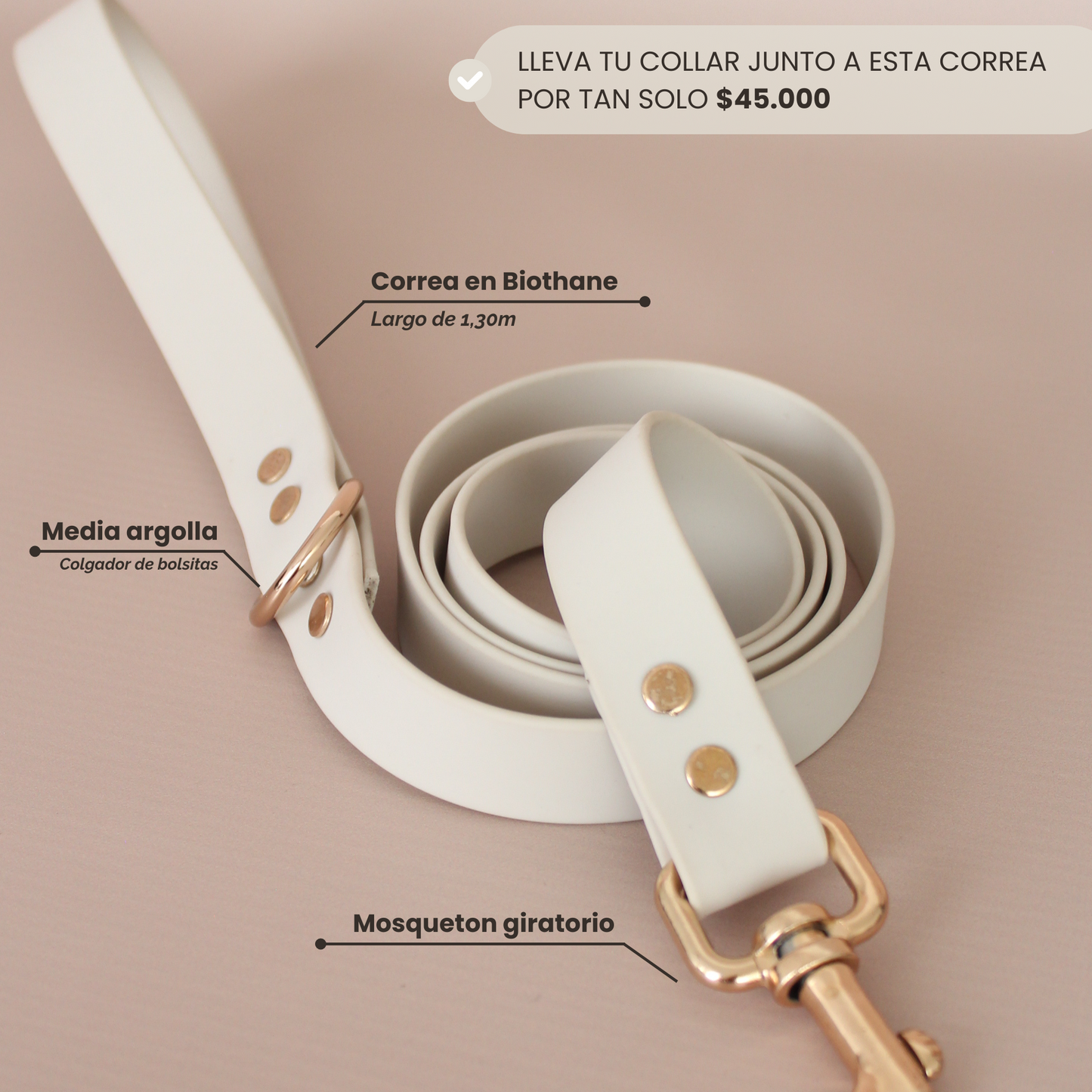 Collar Artesanal para Perros | Orange Blue
