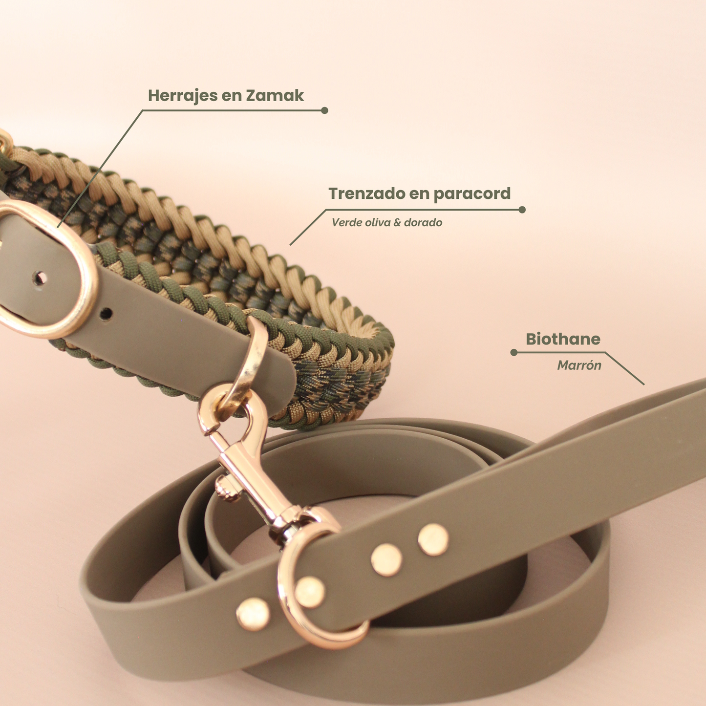 Collar Artesanal para Perros | Olive Gold