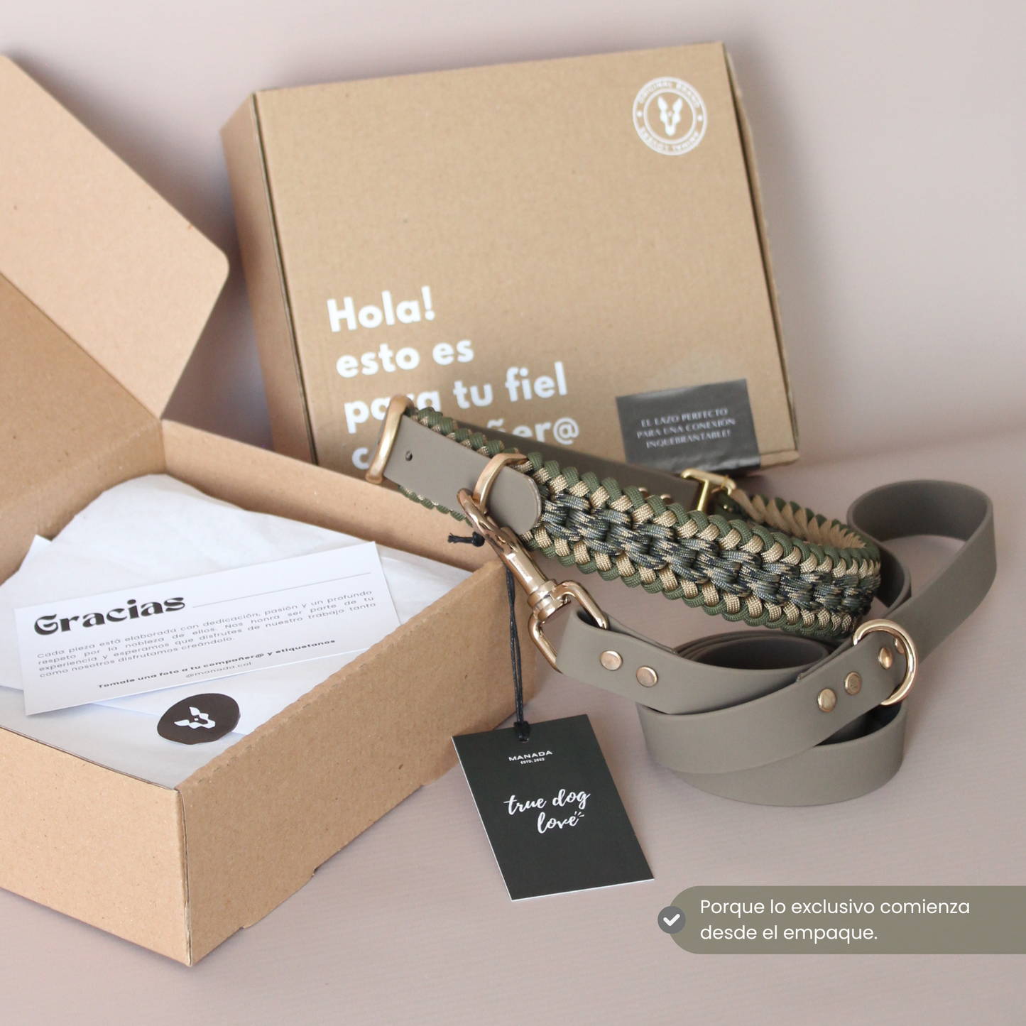 Collar Artesanal para Perros | Olive Gold