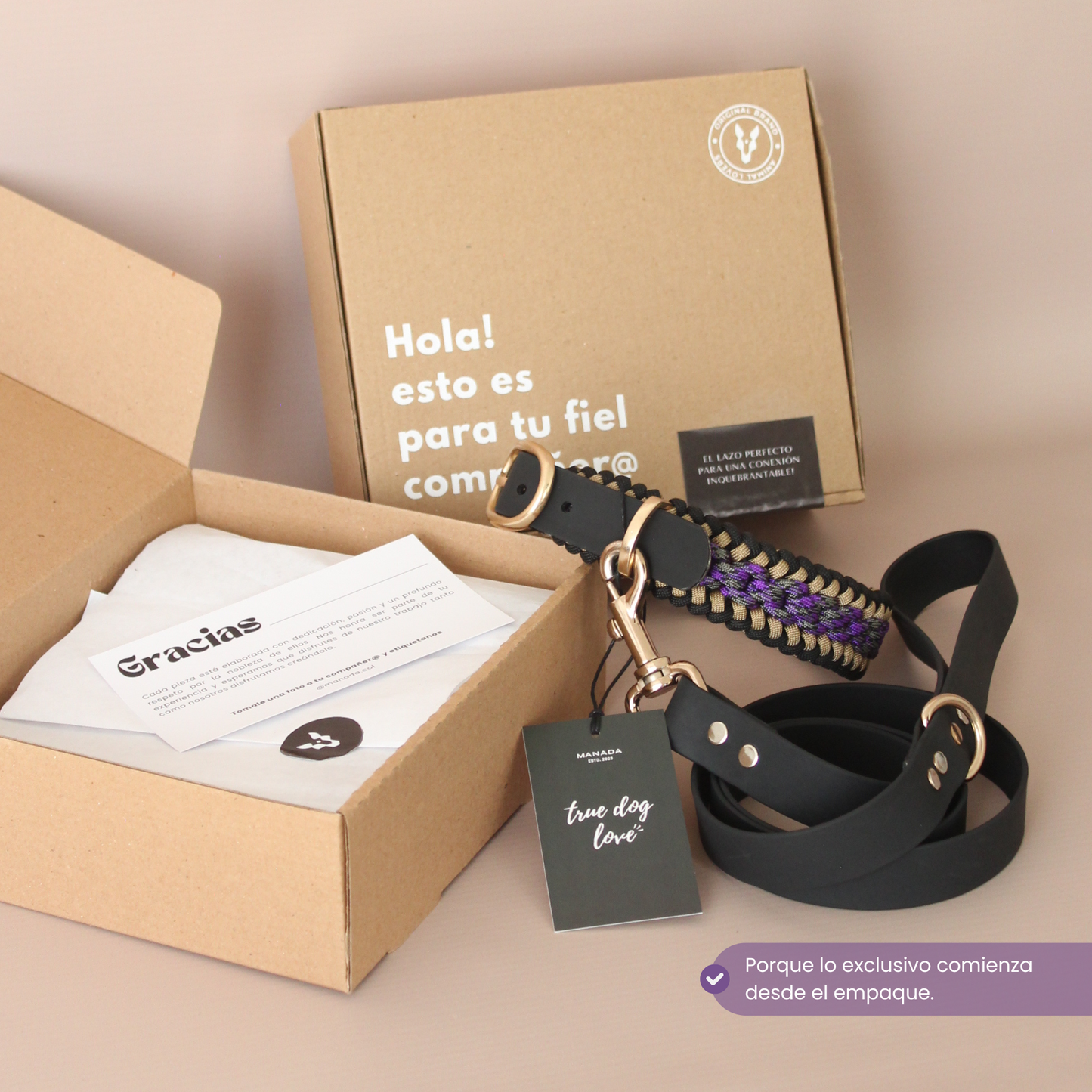 Collar Artesanal para Perros | Mystic Gold