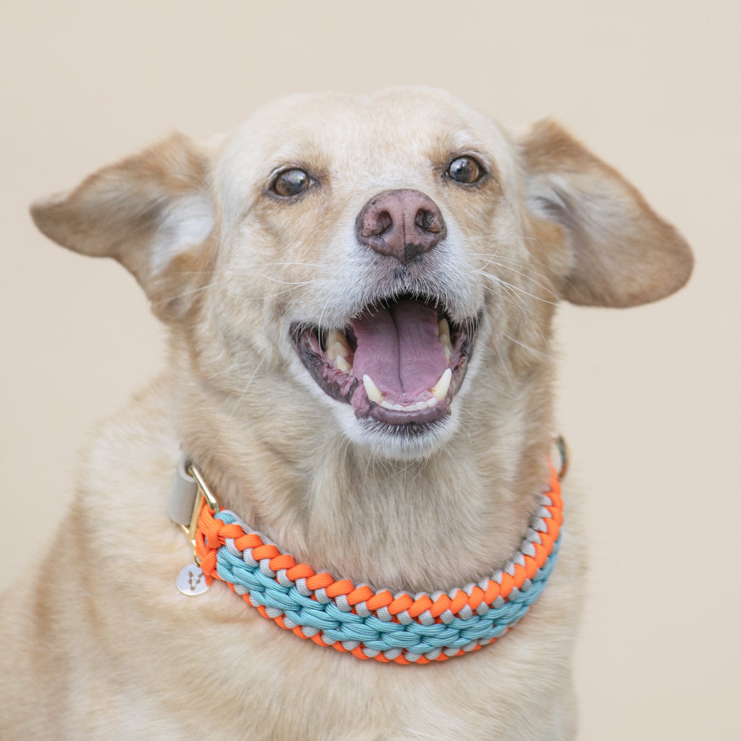 Collar Artesanal para Perros | Orange Blue