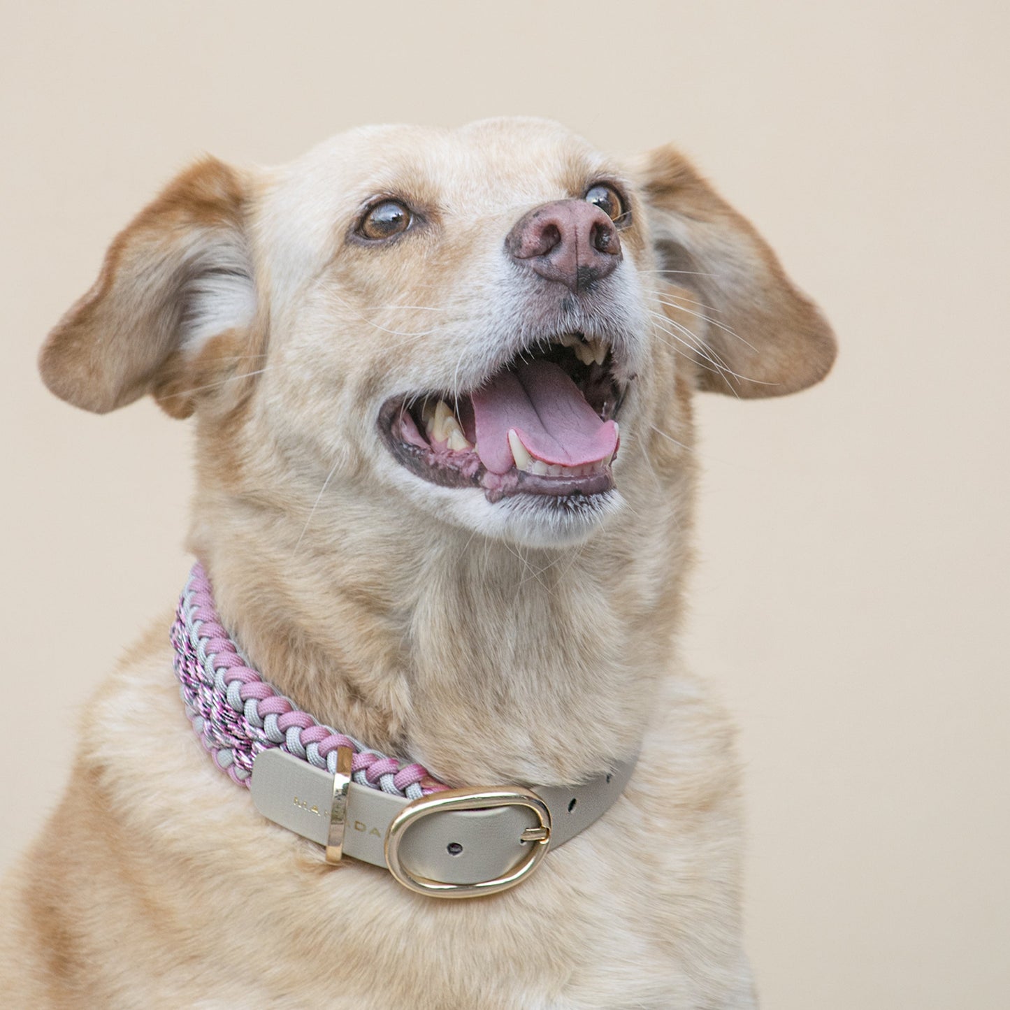 Collar Artesanal para Perros | Rosé