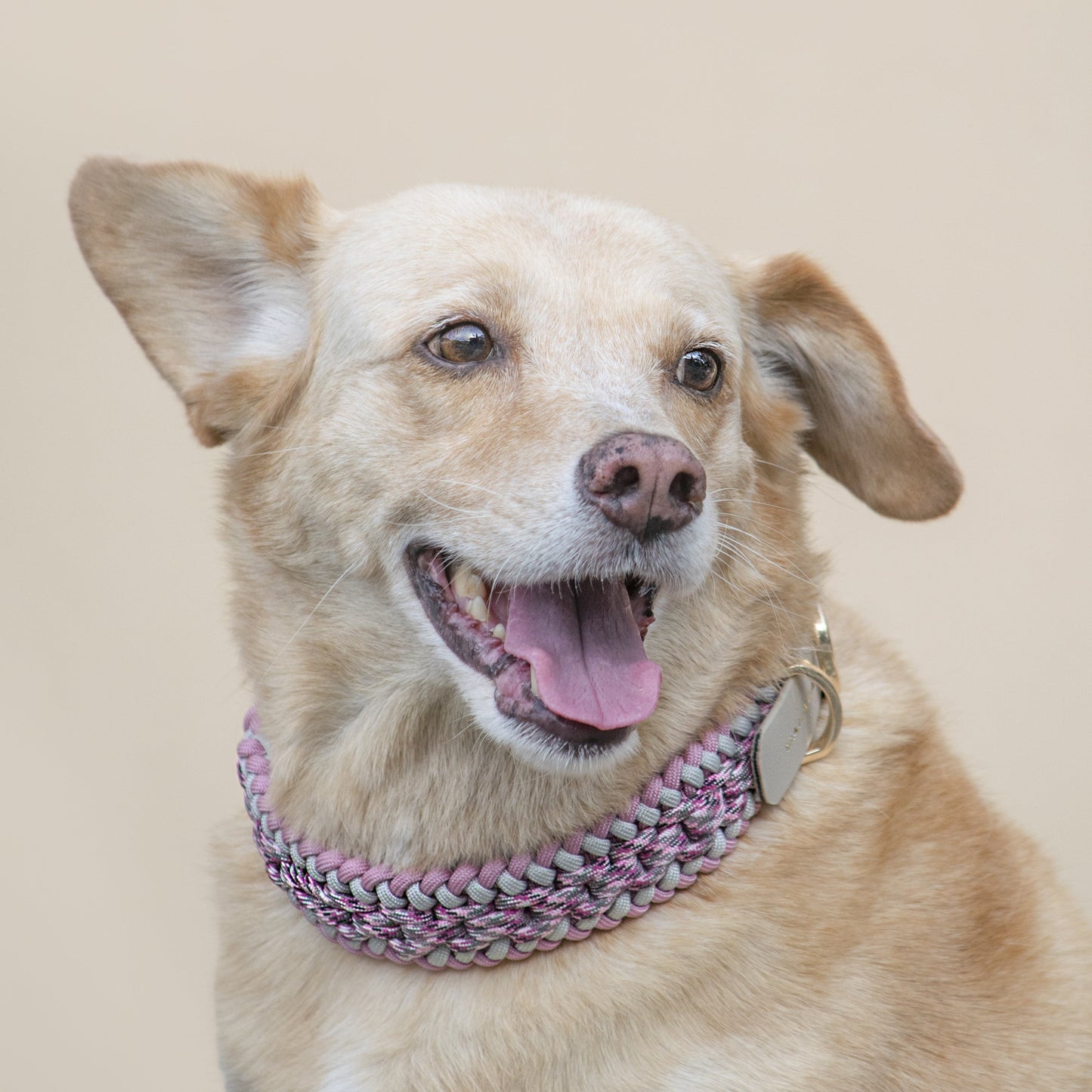 Collar Artesanal para Perros | Rosé
