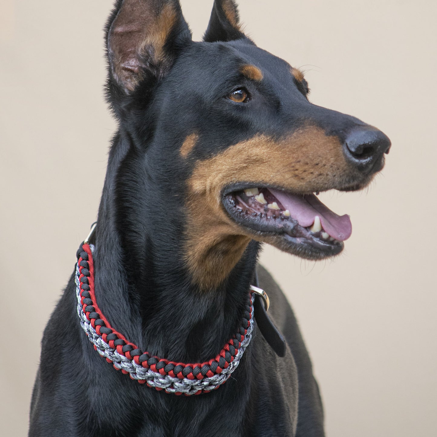 Collar Artesanal para Perros | Furia