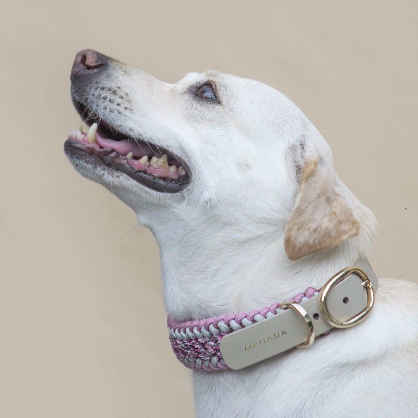 Collar Artesanal para Perros | Rosé