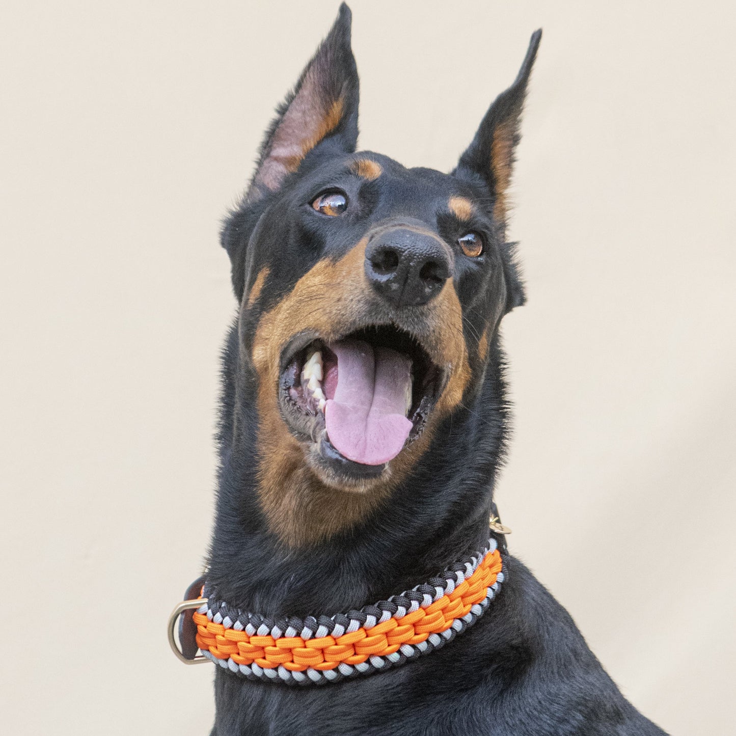Collar Artesanal para Perros | Orange Black