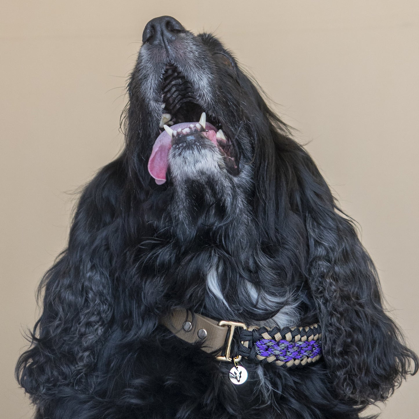 Collar Artesanal para Perros | Mystic Gold