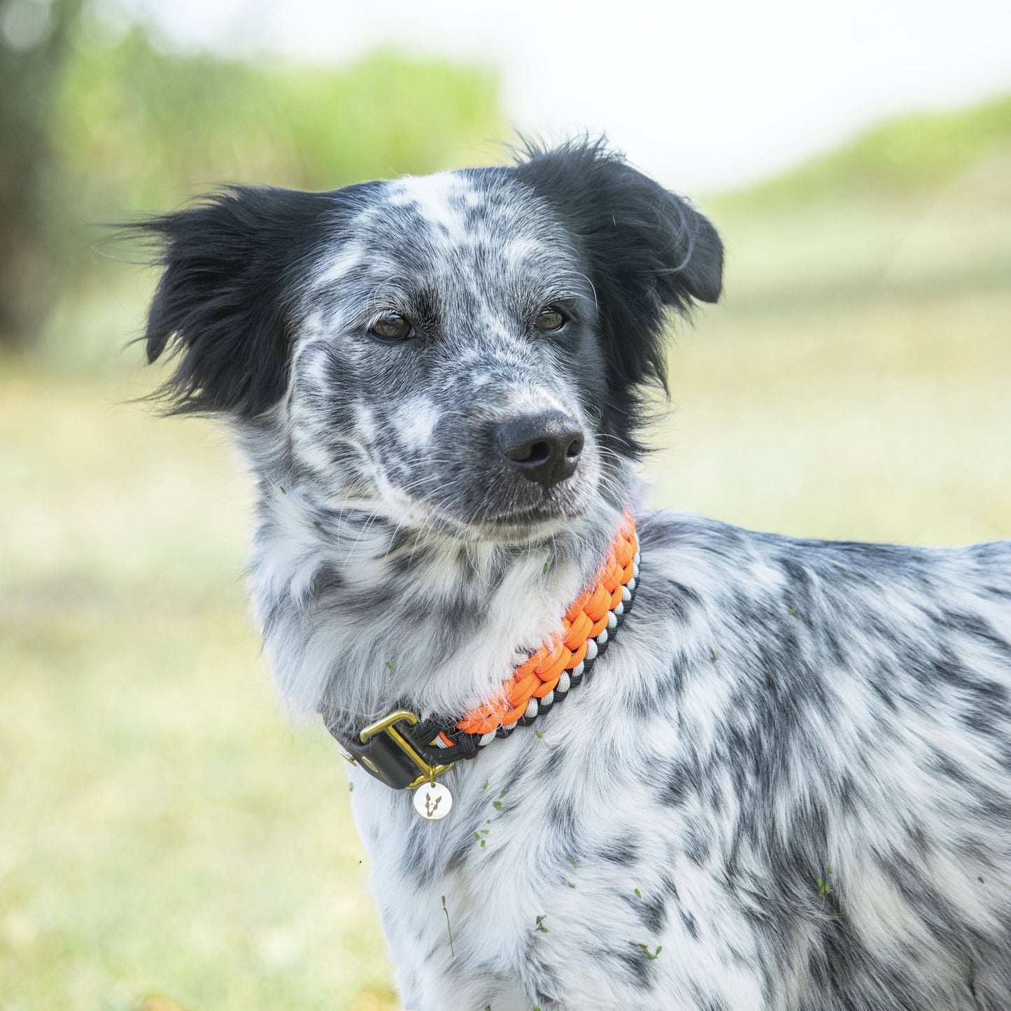 Collar Artesanal para Perros | Orange Black