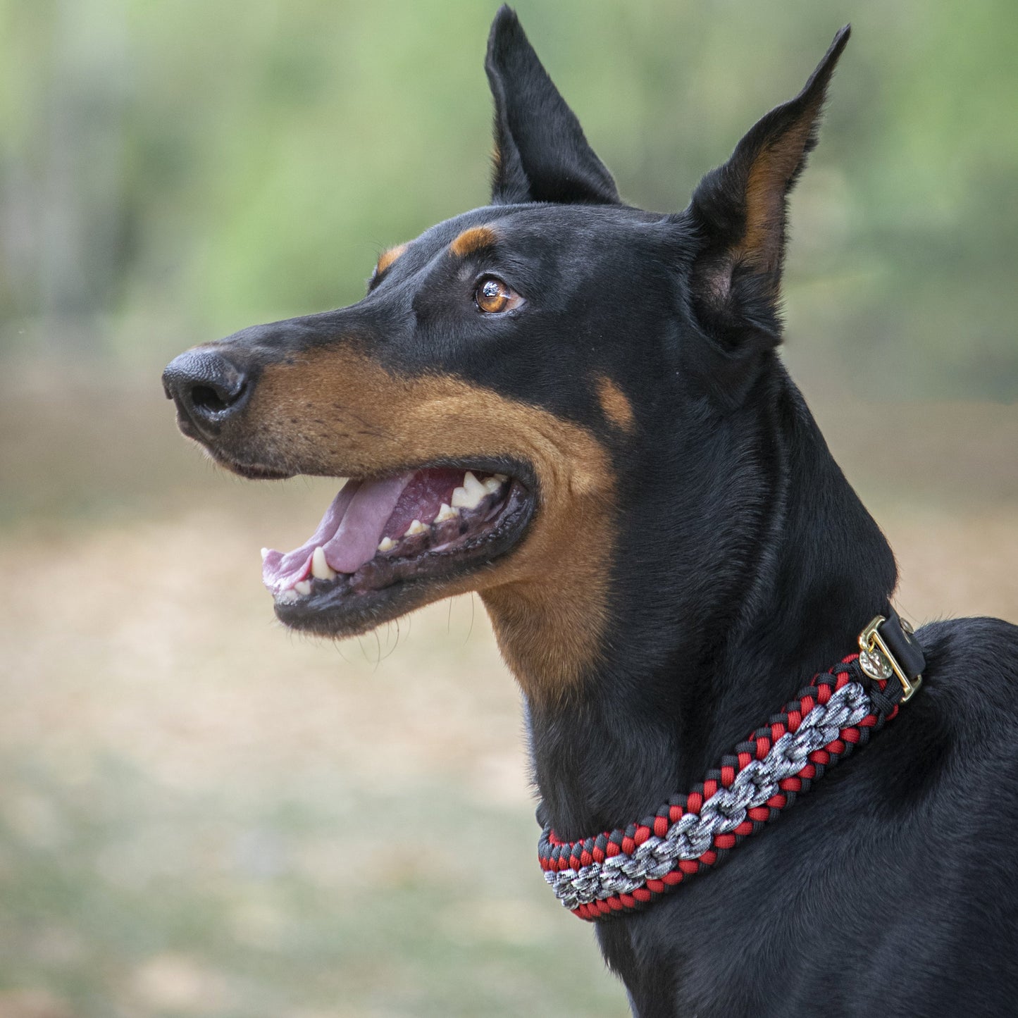 Collar Artesanal para Perros | Furia