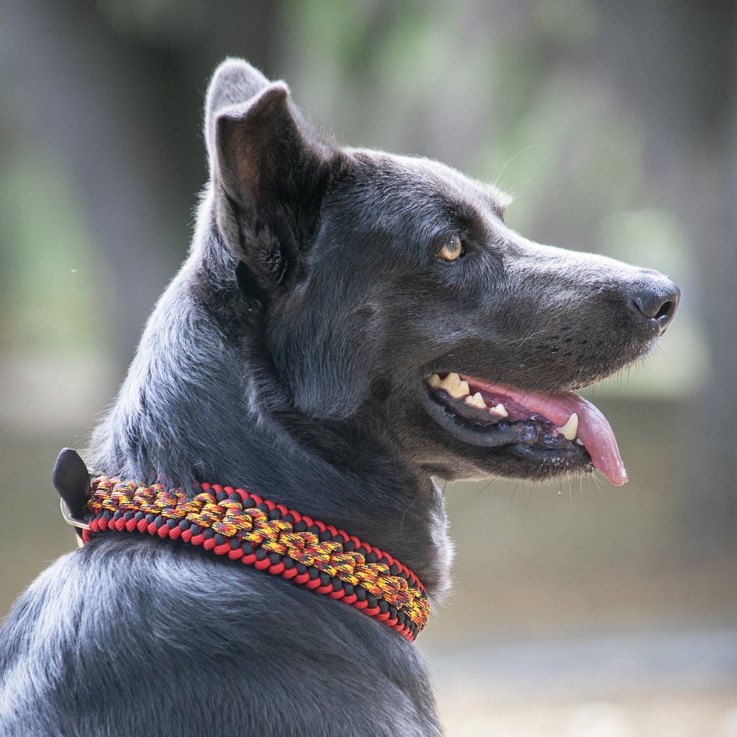 Collar Artesanal para Perros | Fuego