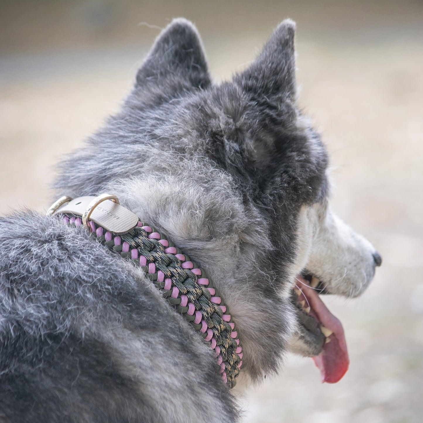 Collar Artesanal para Perros | Olive Pink