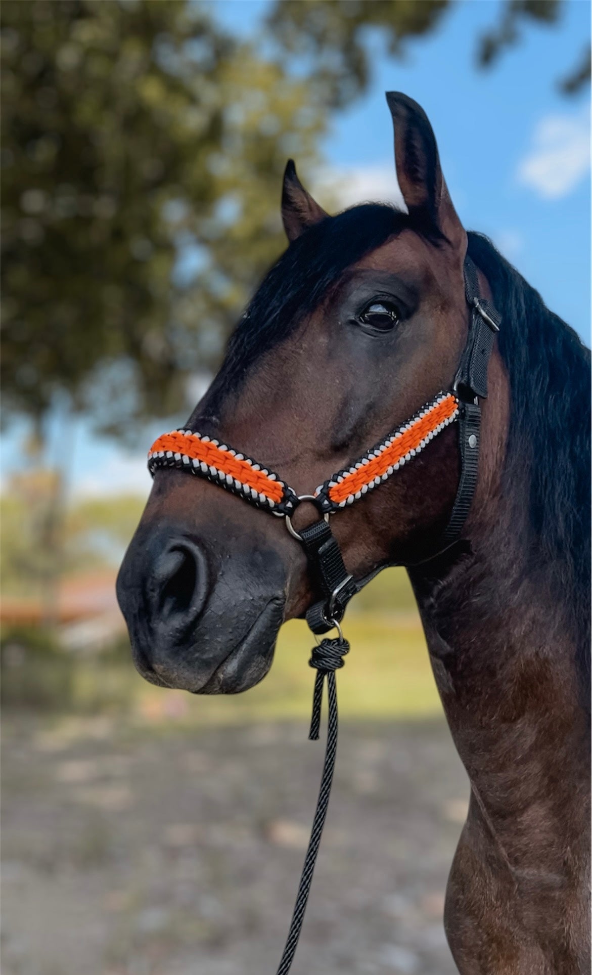 Jáquima Artesanal Orange Black