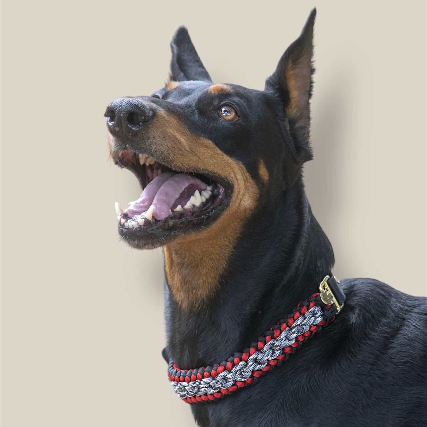 Collar Artesanal para Perros | Furia