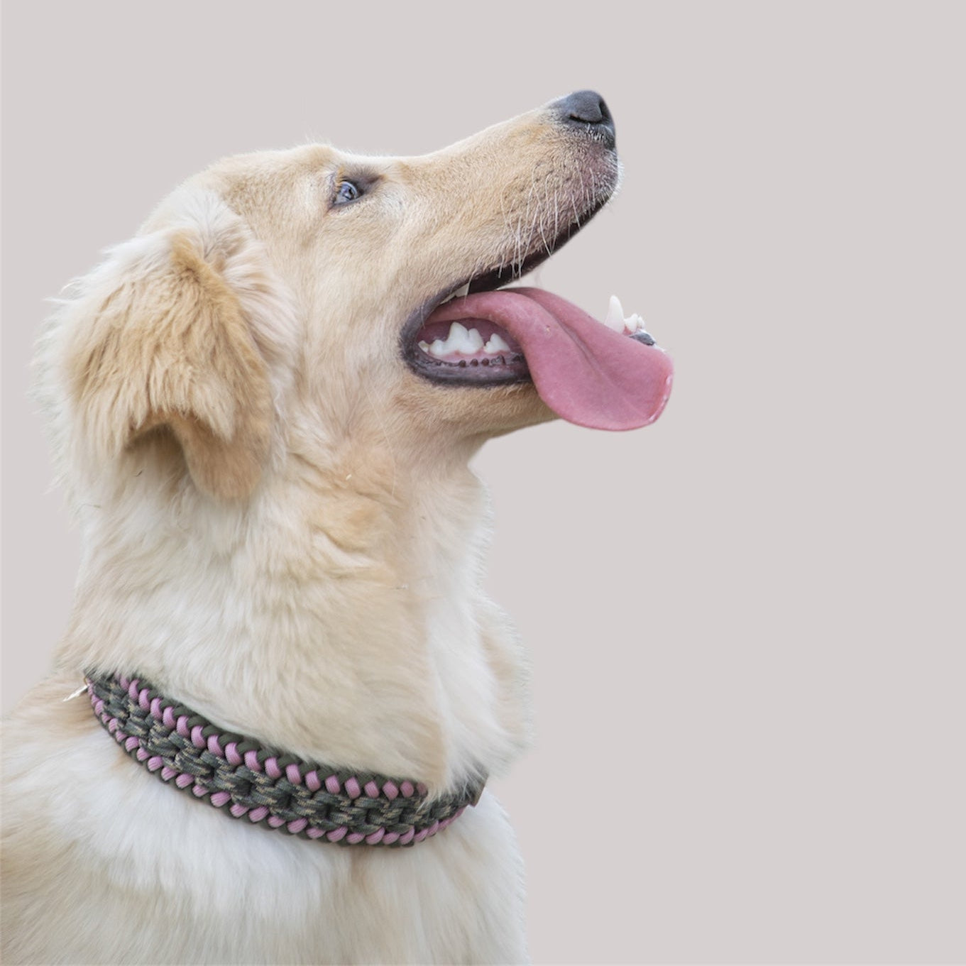 Collar Artesanal para Perros | Olive Pink