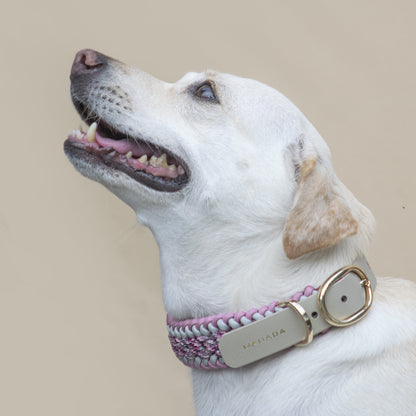 Collar Artesanal para Perros | Rosé