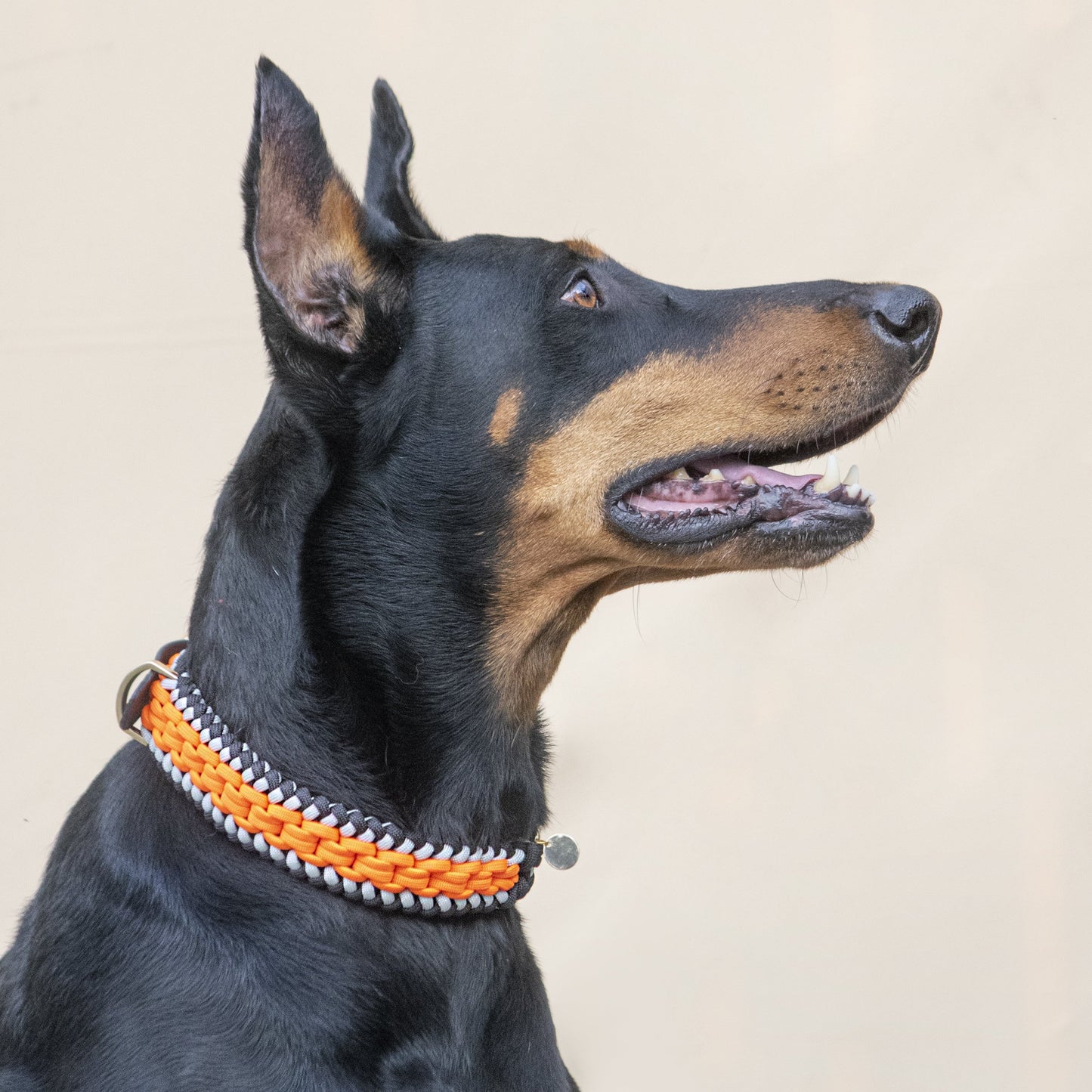 Collar Artesanal para Perros | Orange Black